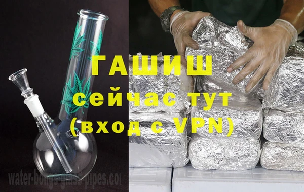 индика Балахна