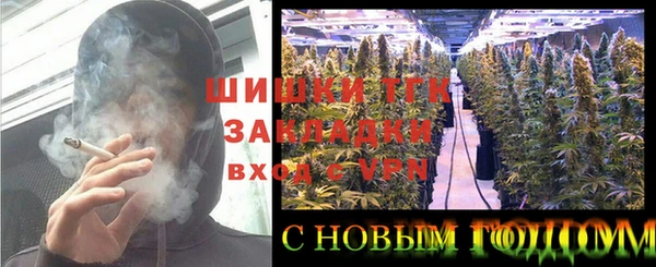 индика Балахна