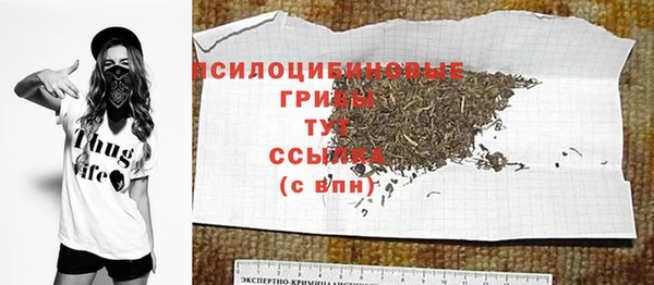 индика Балахна