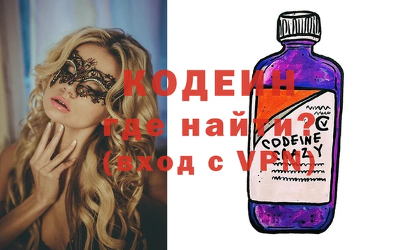 индика Балахна