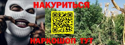 трава Абакан