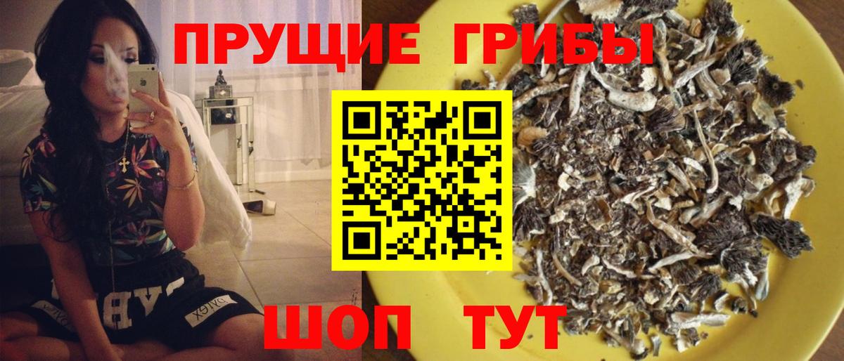 Псилоцибиновые грибы MAGIC MUSHROOMS Соль-Илецк