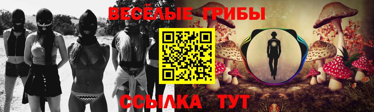 Соль-Илецк  Галлюциногенные грибы Magic Shrooms  Галлюциногенные грибы мицелий  Вход с VPN 