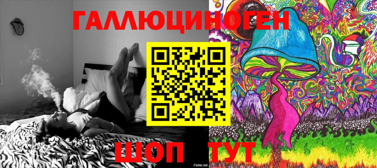 Псилоцибиновые грибы Cubensis Соль-Илецк