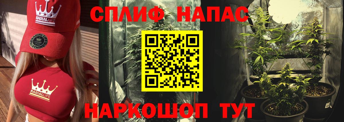 Каннабис Amnesia Соль-Илецк